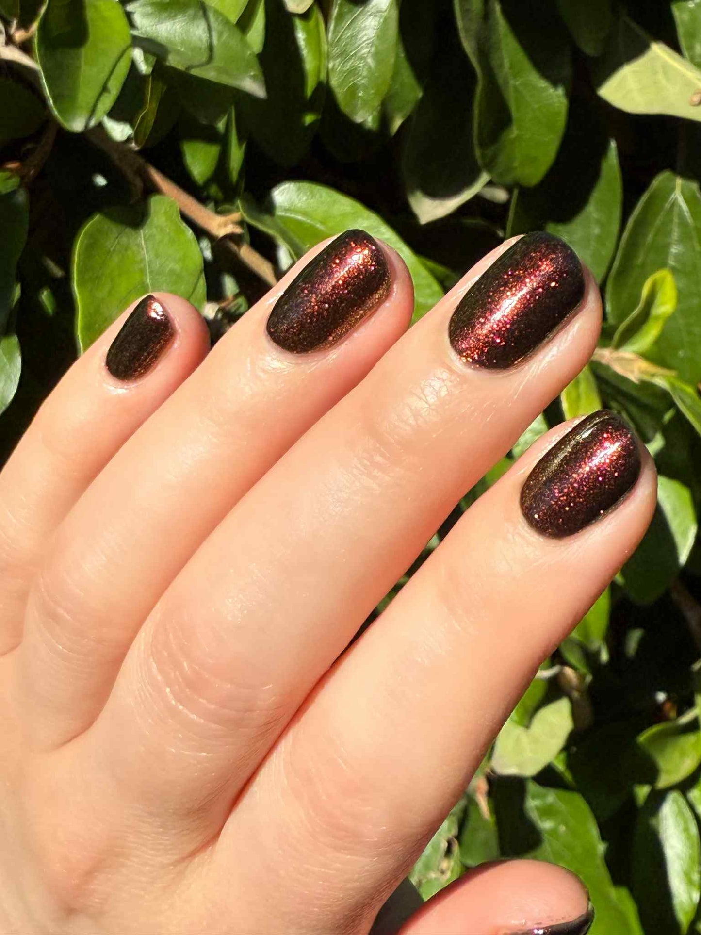 Vampy Dames