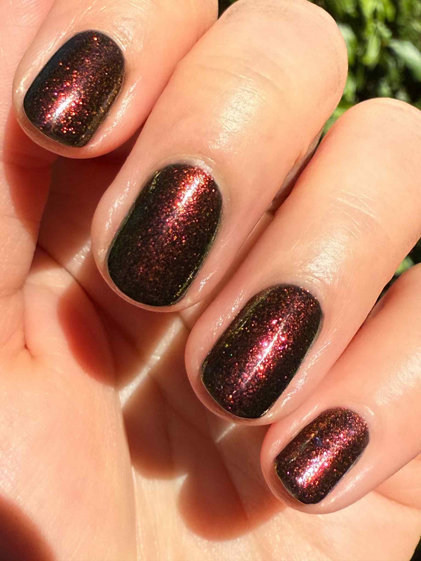 Vampy Dames