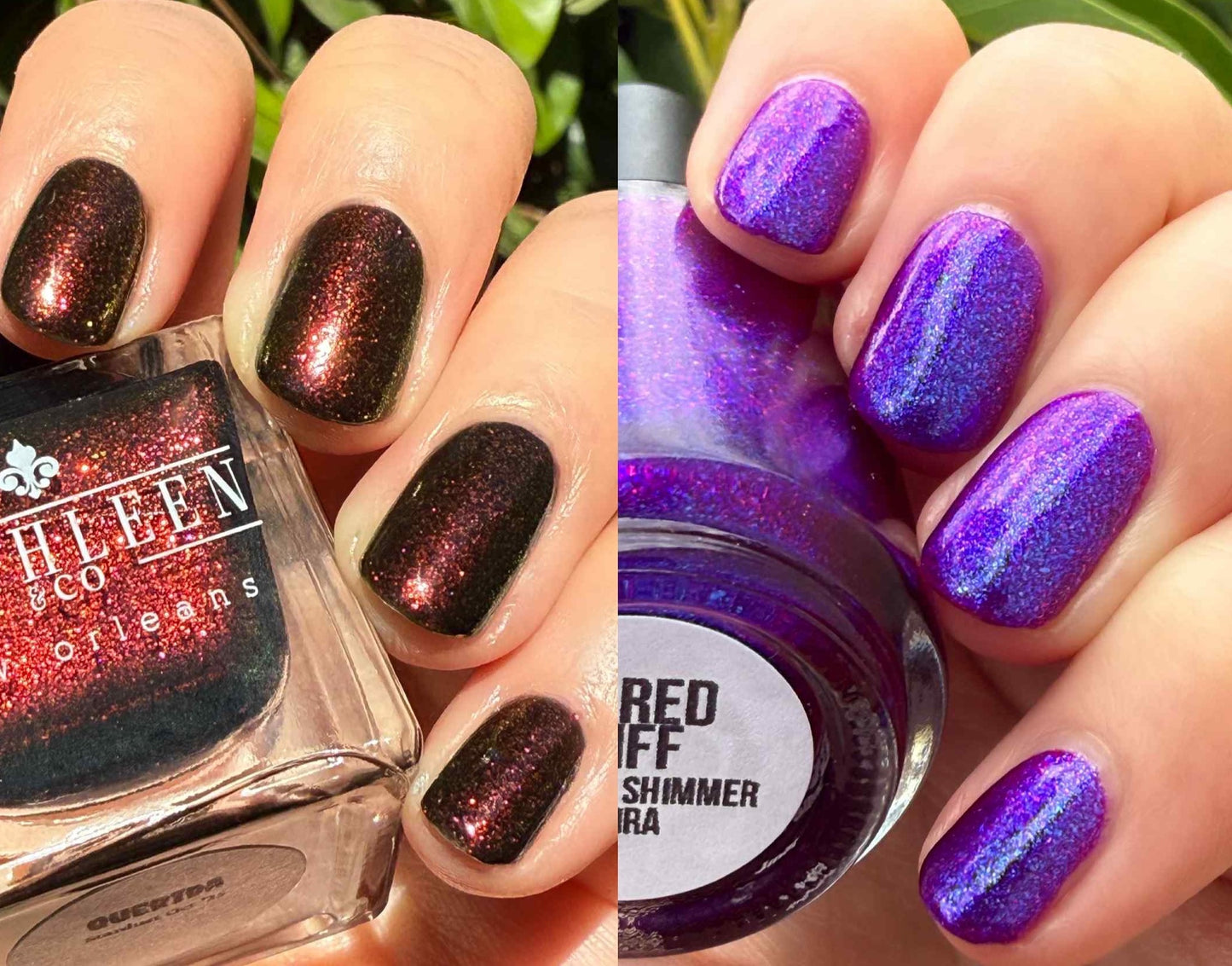 Vampy Dames