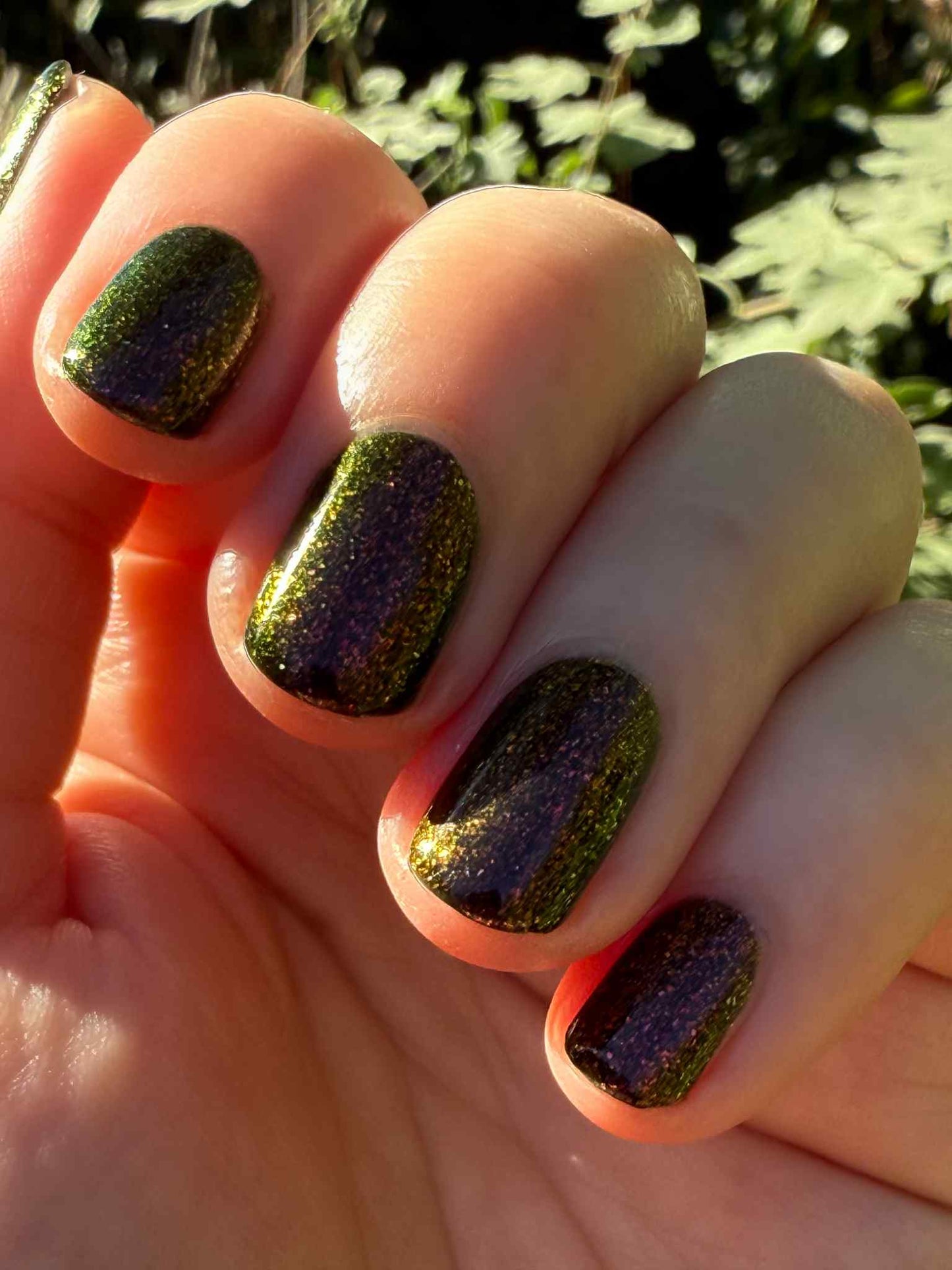 Vampy Dames